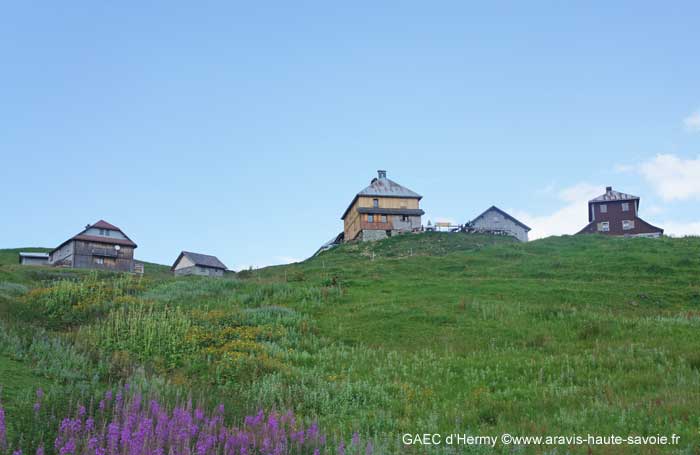 alpage de montagne fabrication de fromage de Savoie