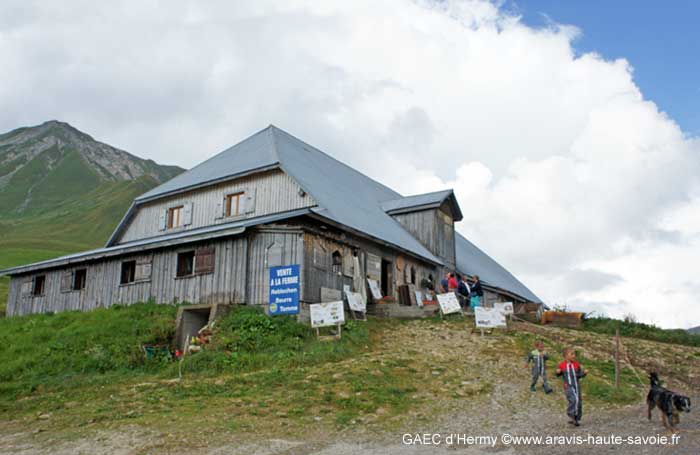 Ferme pédagogique Haute Savoie Le Grand Bornand, visite de la ferme + dégustation de fromage sur réservation