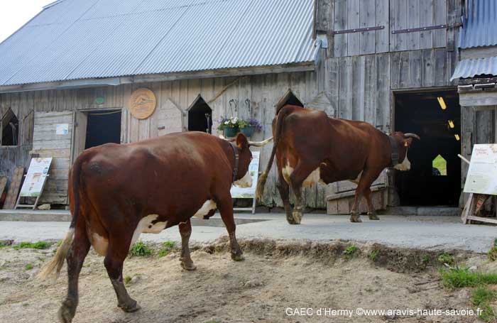 ferme pédagogique de haute savoie