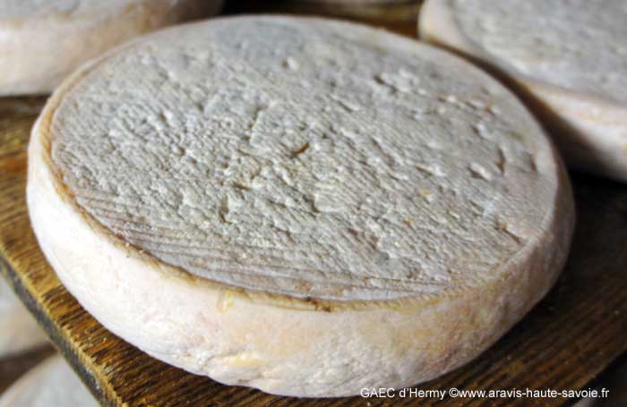 Le reblochon, un savoureux fromage à la pâte onctueuse et aux saveurs de noisettes