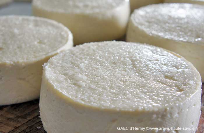 Venez découvrir dans notre ferme les différentes étapes de la fabrication du reblochon fermier