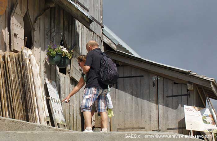 En famille ou en groupe, sur réservation vous pouvez venir visiter notre ferme  l'été au col des Annes