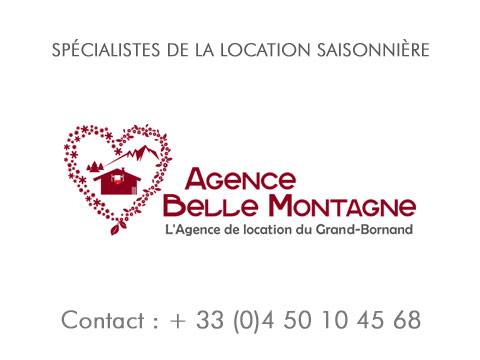 immobilier location vente chalet appartement, locations vacances