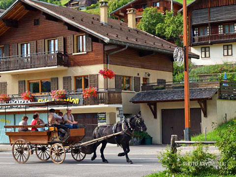 spectacle fête de noël