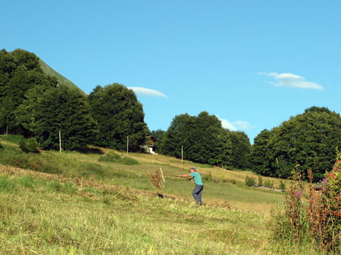 la vie pastorale tient une place très importante en haute savoie, agriculture et élevage pour la fabrication du fromage reblochon