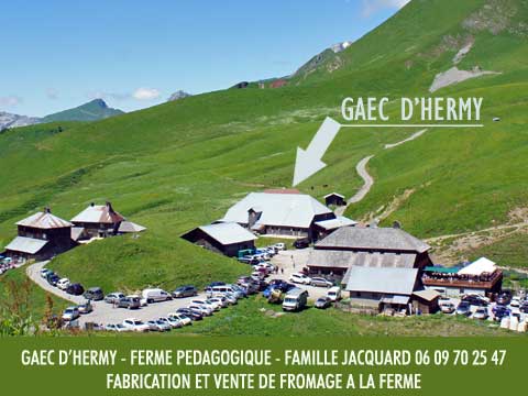 Gaec d'Hermy ferme pédagogique Haute Savoie vente de fromage à la ferme directement du producteur reblochon tomme beurre